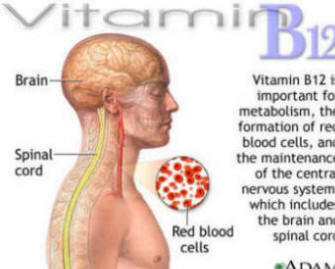 Anemia Symptoms