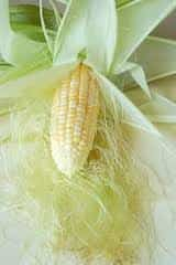 corn silk