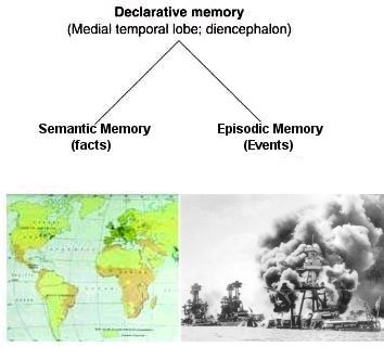 Declarative Memory