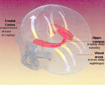 Long-term Memory