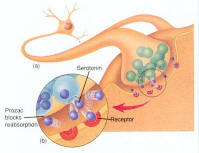 Neuromodulator