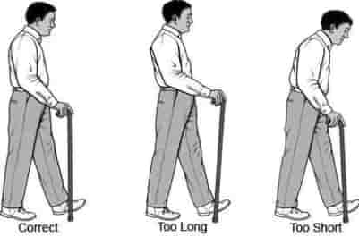 cane tips