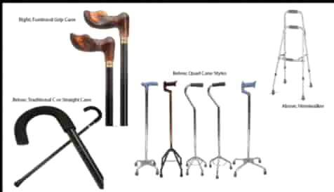 cane types