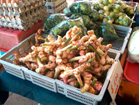 Galangal roots