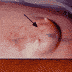Click to zoom