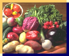 Variety of vegetables